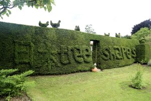 Japanese tree shapes hedge