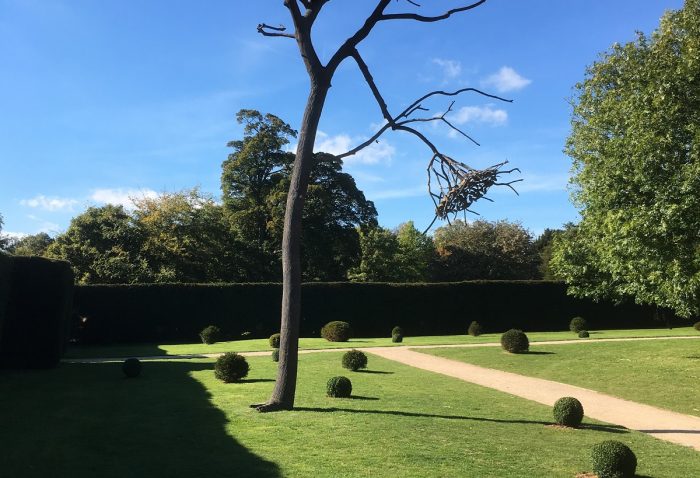 Giuseppe Penone at the Yorkshire Sculpture Park