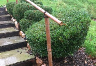 Philyreas and bamboo hand rail